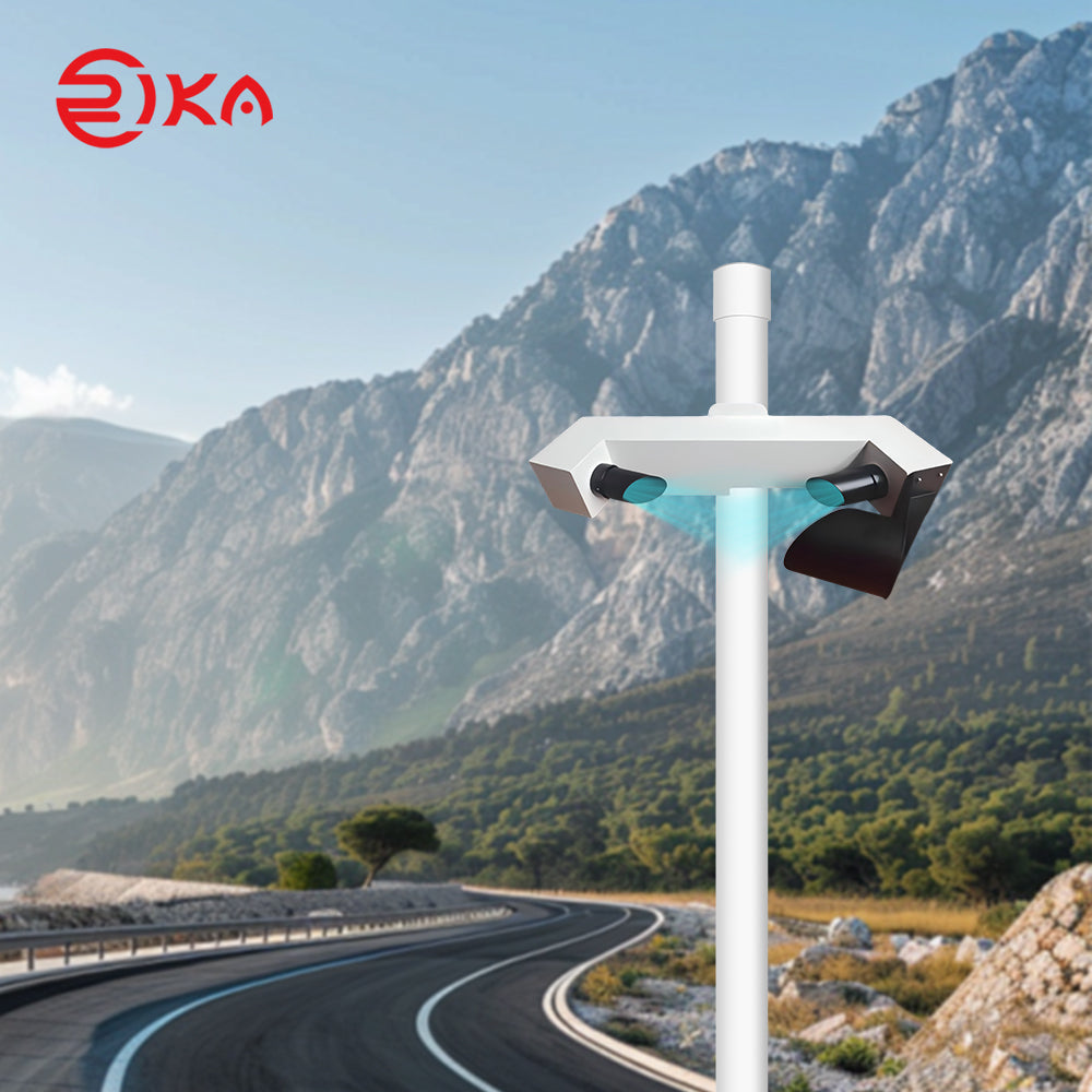 RK300-10 Visibility Sensor Type C