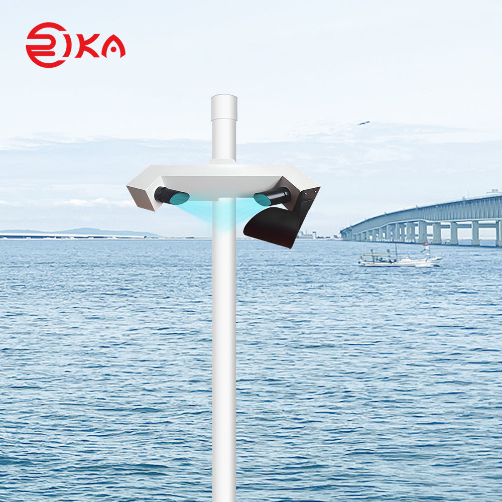 RK300-10 Visibility Sensor Type C