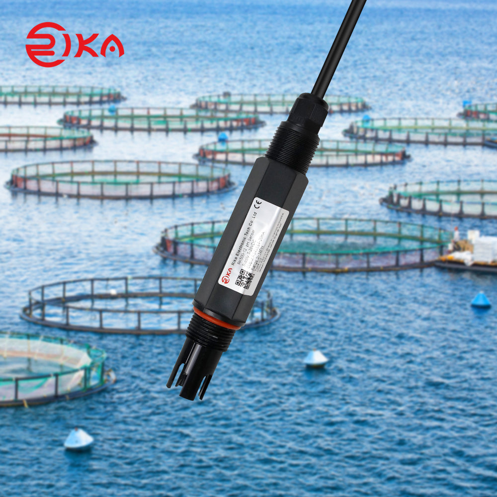 RK500-12 Type-C2 Water pH Sensor（seawater, industrial water）