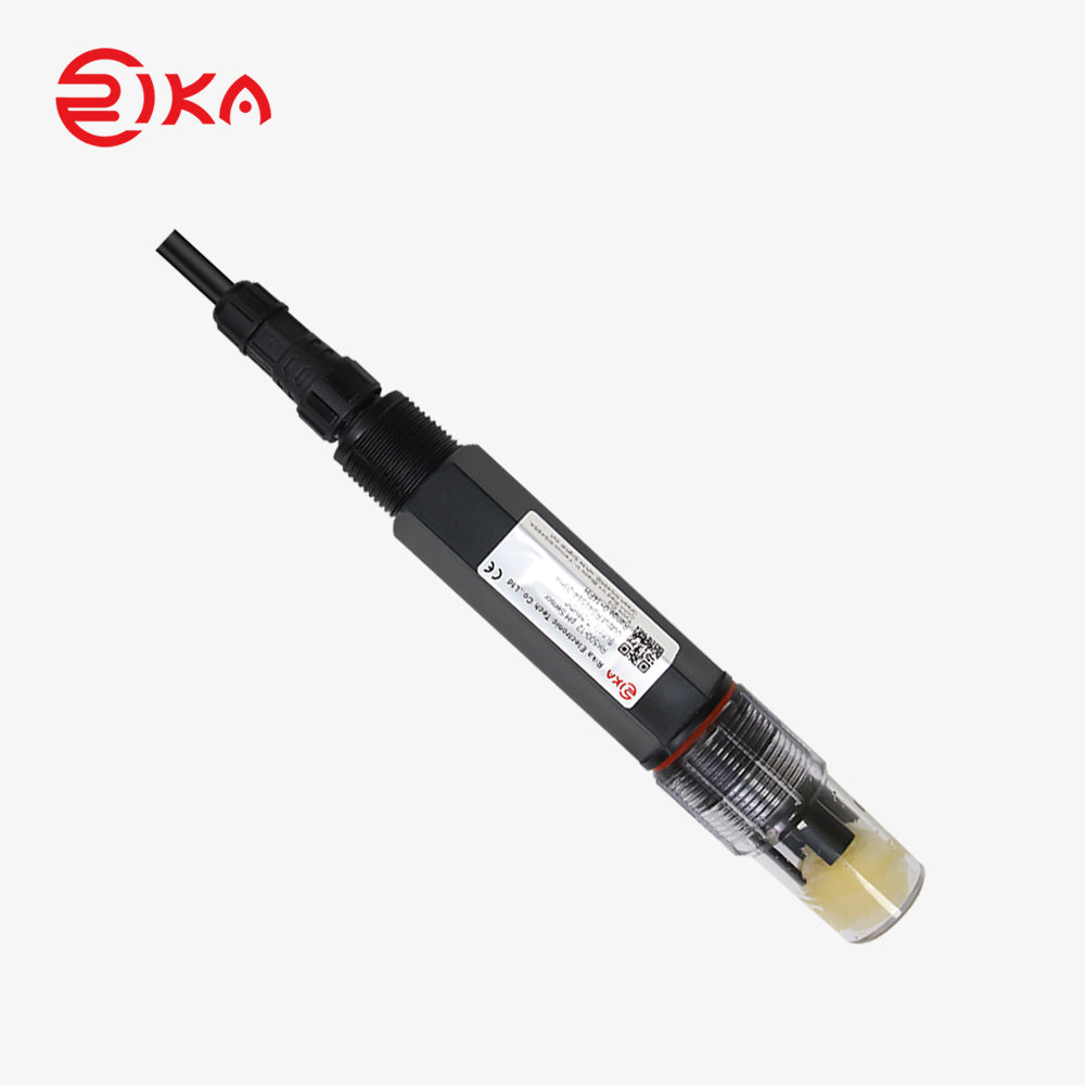 RK500-12 Type-D1 pH Sensor for Conventional Water